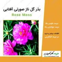 بذر گل ناز آفتابی صورتی Rose Moss