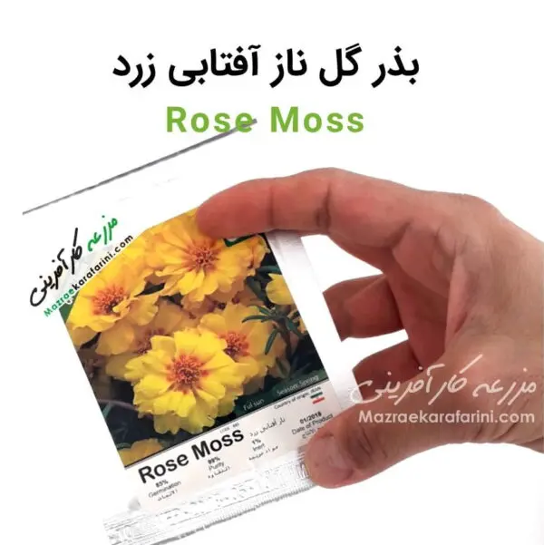 پاکت بذر گل ناز آفتابی زرد yellow-moss-rose-seeds