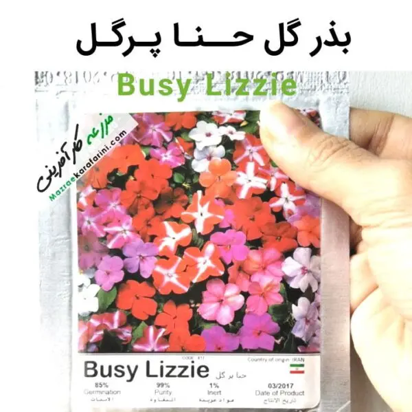 پاکت بذر گل حنا پر گل Busy Lizzie packed seeds