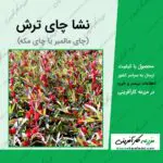 نشا چای ترش Hibiscus sabdariffa