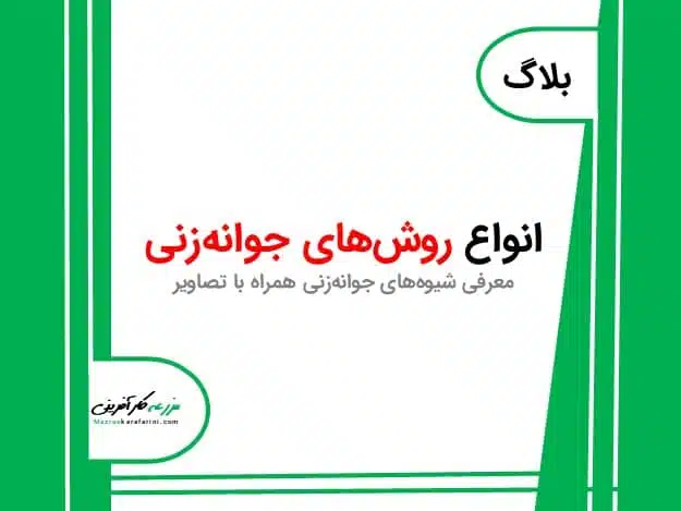 انواع روش های جوانی زنی