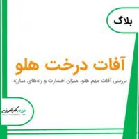 آفات هلو , شناخت افات درخت هلو و شیوه مبارزه