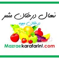 فروش ارقام مختلف نهال درختان مثمر از نهالستانهای درختان میوه کشور در مزرعه کارآفرینی