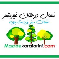 فروش ارقام مختلف نهال درختان غیرمثمر یا فضای سبز و زراعت چوب از نهالستانهای درختان غیرمثمر کشور در مزرعه کارآفرینی