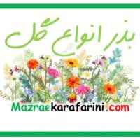 فروش بذر انواع گل در بازار کشاورزی آنلاین مزرعه کارآفرینی