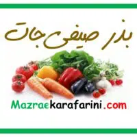 فروش بذر انواع صیفی جات در بازار کشاورزی آنلاین مزرعه کارآفرینی