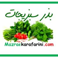 فروش بذر انواع سبزیجات در بازار کشاورزی آنلاین مزرعه کارآفرینی