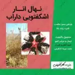 نهال انار اشکفتویی داراب فارس